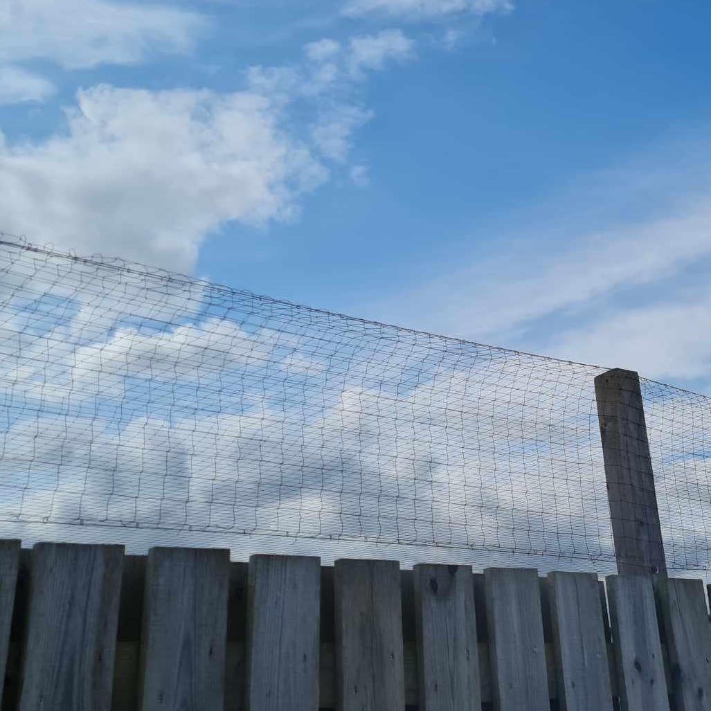 bird netting