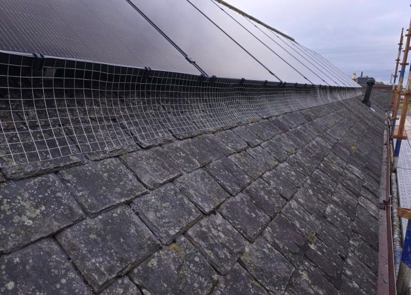 wire mesh underneath domestic solar panels. The close-up image shows how well the netting has been fitted and how secure it is.