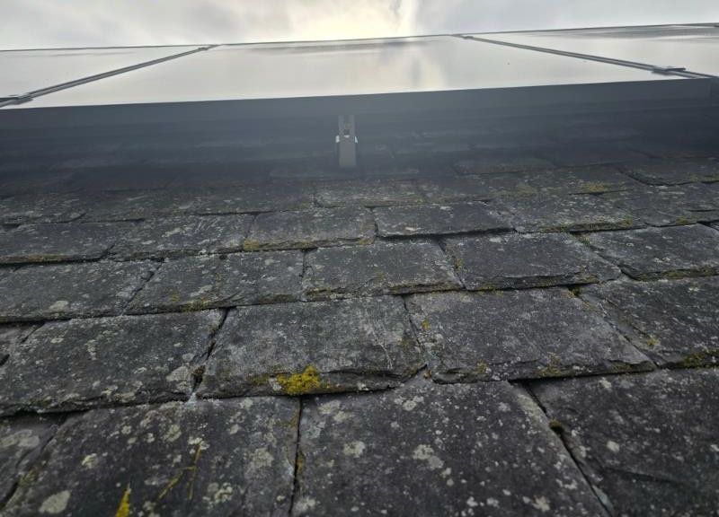 Pigeon Proofing Solar Panels