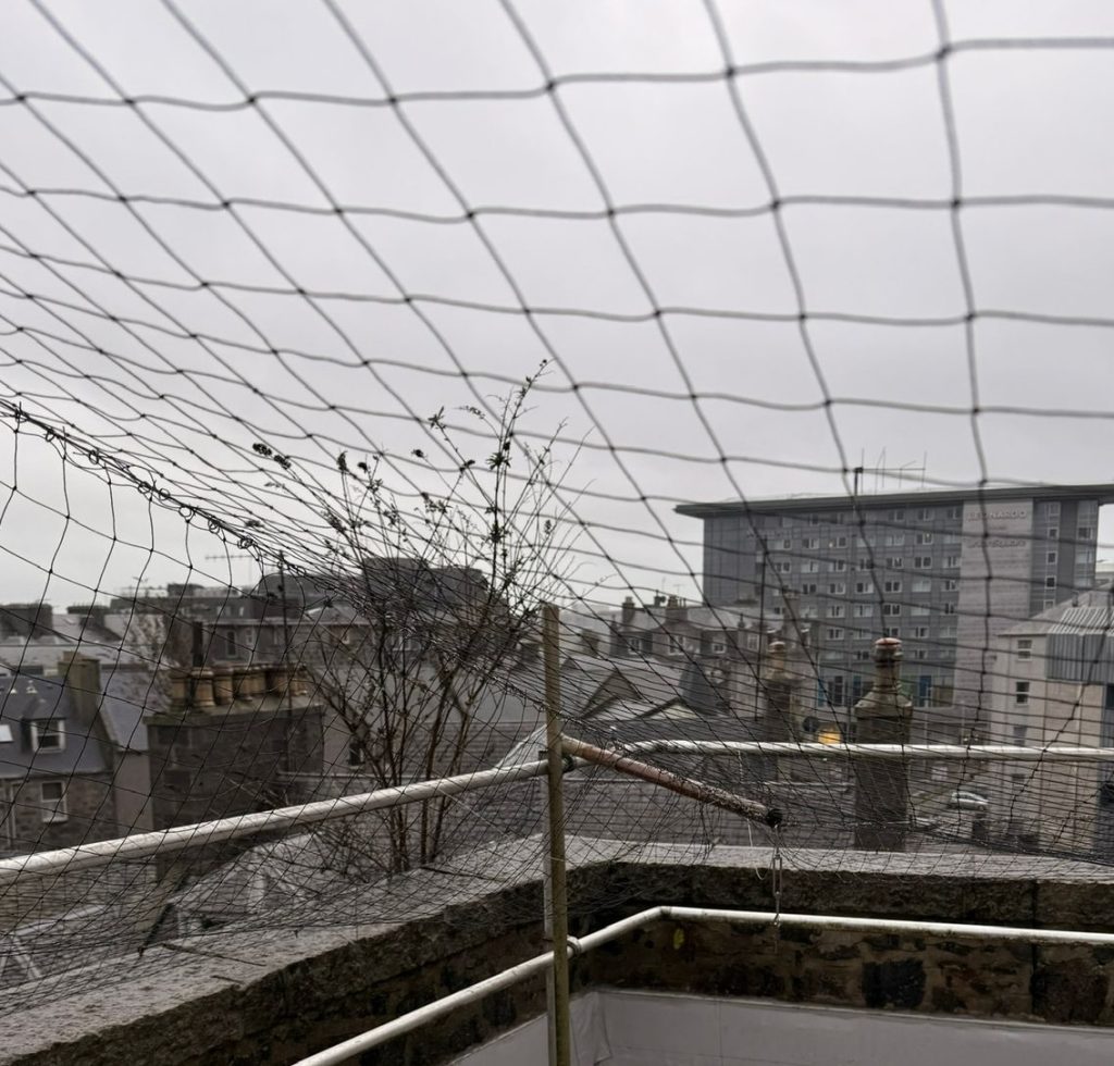 Bird netting on a commercial building in Aberdeen